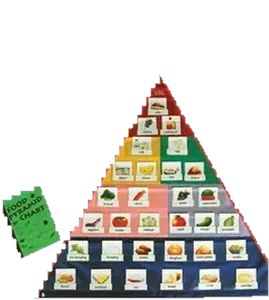 Food Pyramid Chart