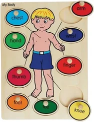 A wooden inset puzzle of a child's body with the parts named in Malay on coloured ovals, three pieces lifted out to show the recesses beneath.