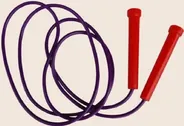A purple plastic skipping rope with red moulded handles, coiled loosely.