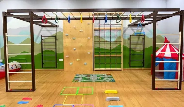 A gym room with a steel rig carrying gymnastic rings, a plywood climbing wall, a rope grid, wall bars and a painted hill mural.