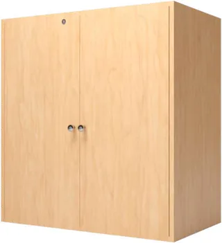 A tall plain birch cabinet with two full-height doors meeting in the middle and two small round handles.